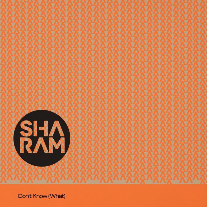 GRAMMY-winning Sharam delivers tech house destroyer ‘Don’t Know (What)’