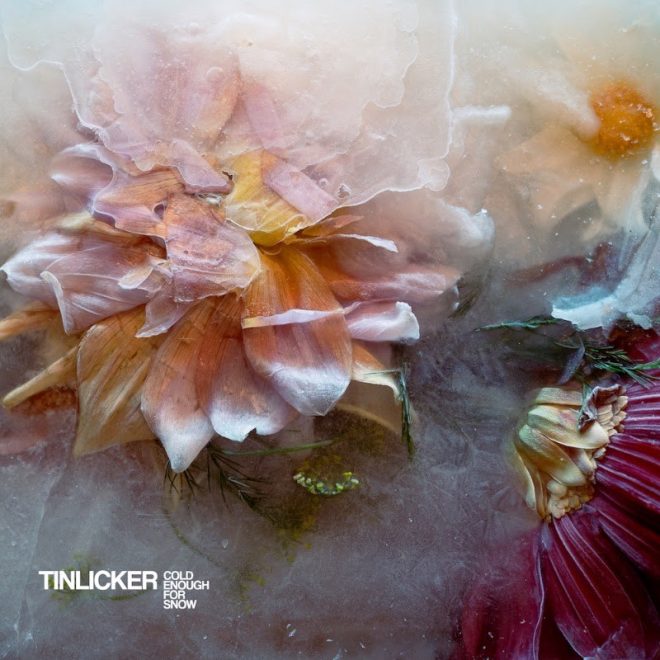 Tinlicker drop third LP ‘Cold enough for snow’ in full on [PIAS] Électronique - Out Now
